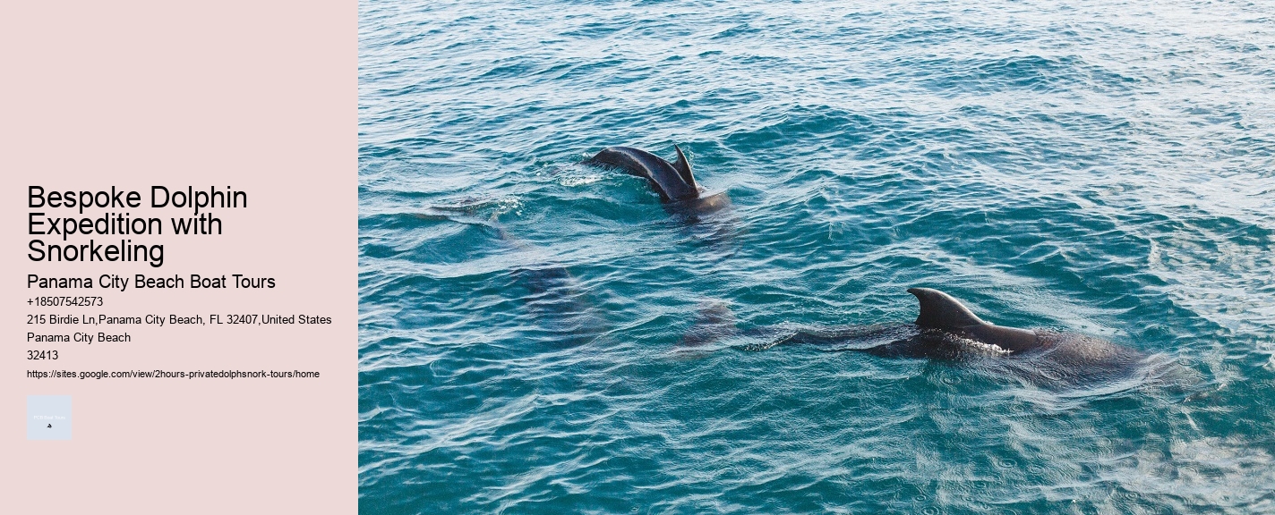 Sarasota Dolphin Tours