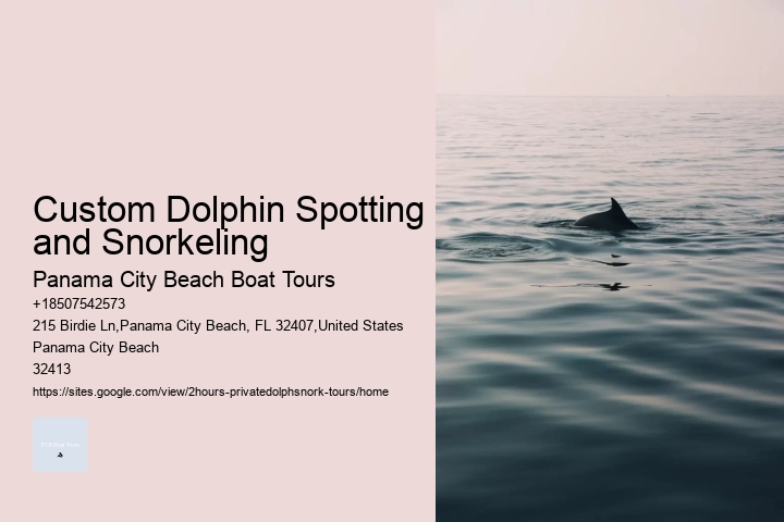 Custom Dolphin Spotting and Snorkeling