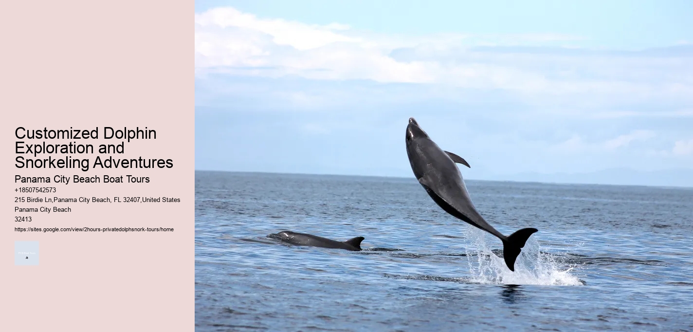 Customized Dolphin Exploration and Snorkeling Adventures