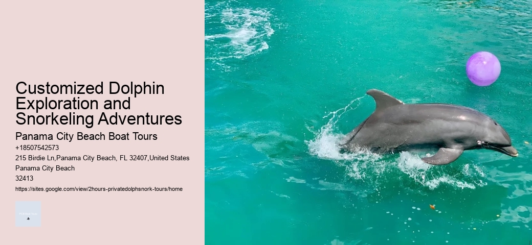 Hatteras Dolphin Tours