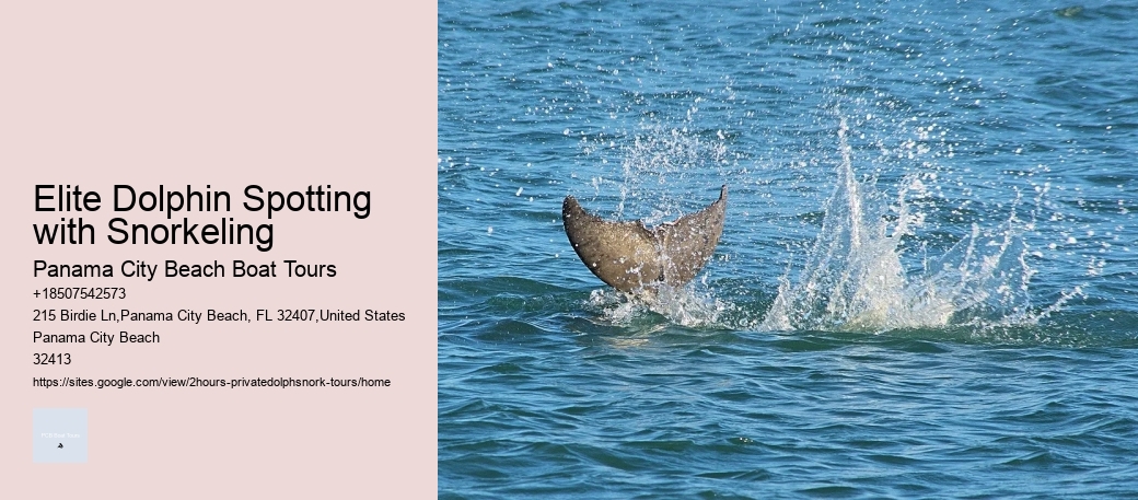 Boat Tours Zurich Lake