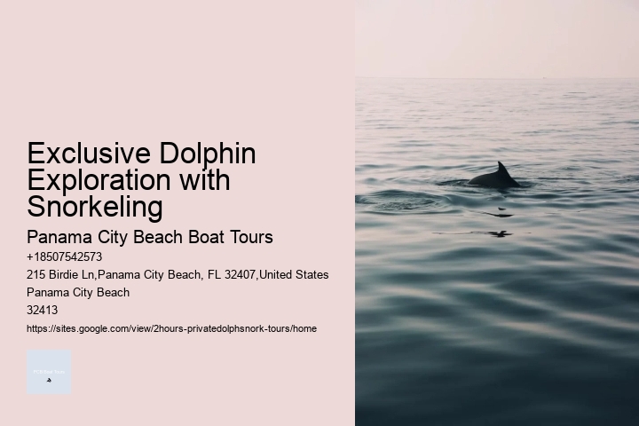 Exclusive Dolphin Exploration with Snorkeling