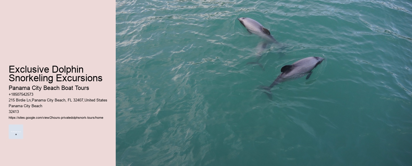 Dolphin Tours Bradenton Beach