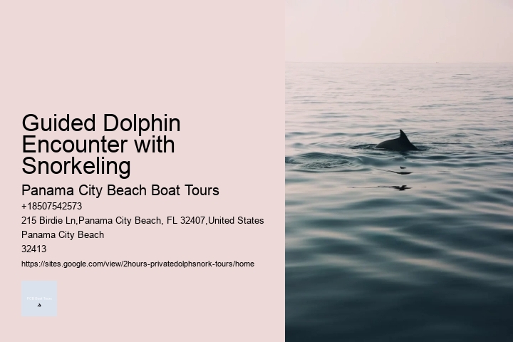 Guided Dolphin Encounter with Snorkeling
