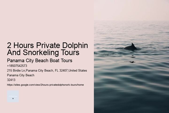 2 Hours Private Dolphin And Snorkeling Tours