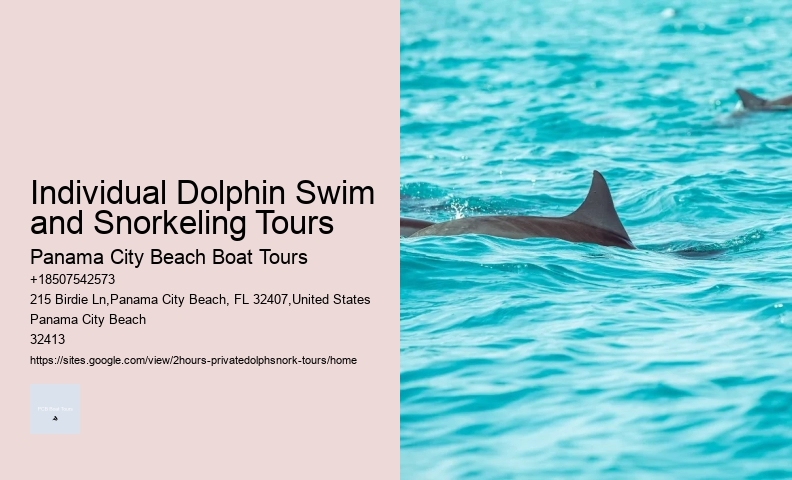 Dolphin Tours South Padre