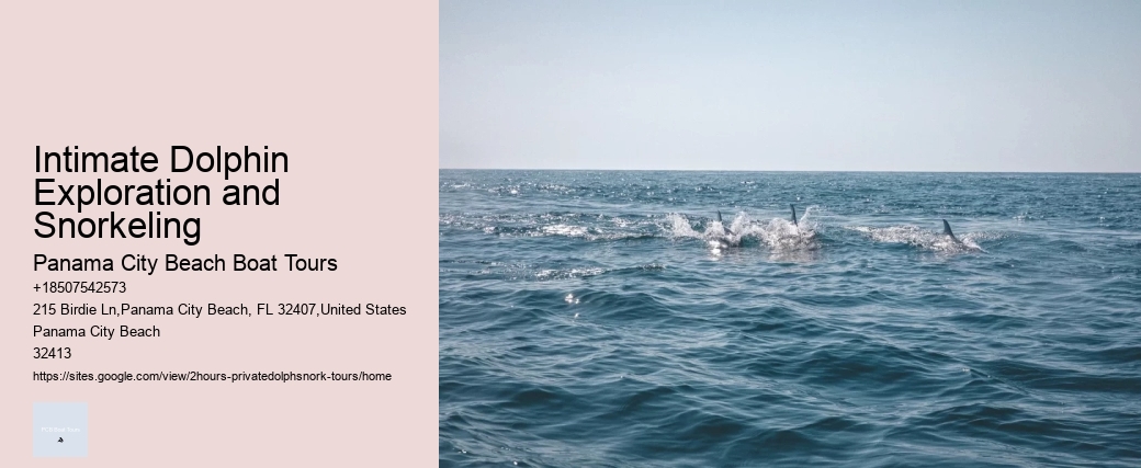 Intimate Dolphin Exploration and Snorkeling