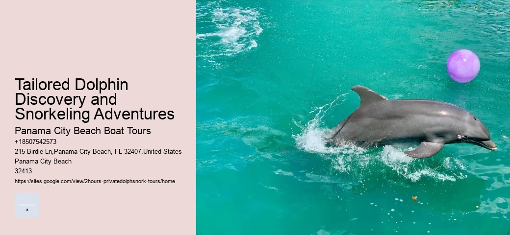 Island Excursion And Dolphin Watch