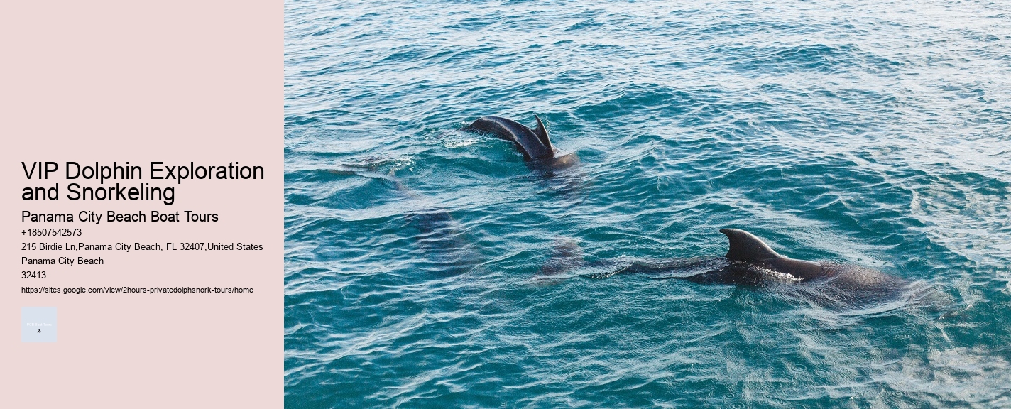Palm Beach Dolphin Tours